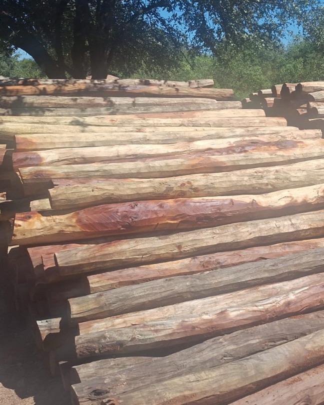 Postes de madera listos para entrega